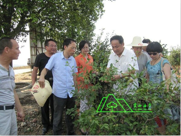 江西省油茶辦主任、工程師孫勇、省科技廳農(nóng)村工作處副處長(zhǎng)、副調(diào)研員尹伊等基地指導(dǎo)工作